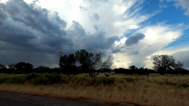 New Mexico Driving 1097 Datil Quemado