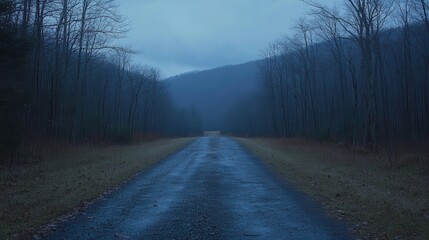 Mysterious foggy road journey appalachian mountains photography natural landscape atmospheric perspective