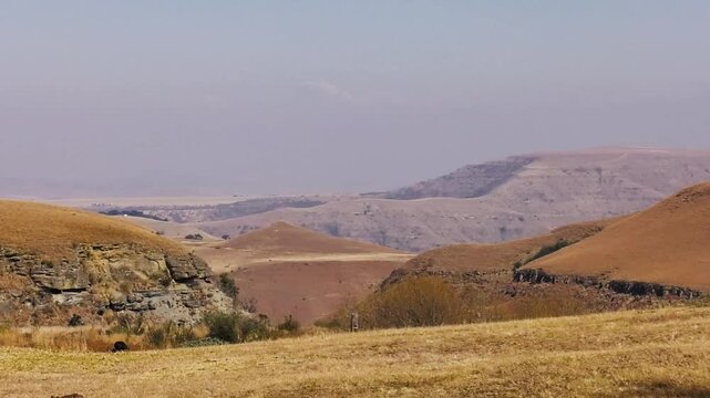 mountains hills range landscape , desert land area zoom with scarce vegetation, Hadedah Ibis bird , climate change sand taking over,