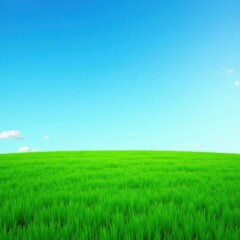 Fototapeta premium Dense carpet of emerald green grass under a clear blue sky, season, nature, lush