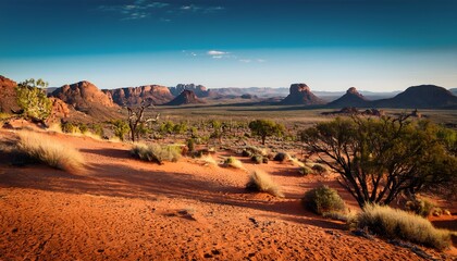 Naklejka premium the best desert natural scenery in Australia