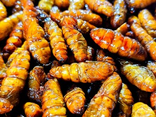 Frying silkworms in pan, in door Chiangmai Thailand.