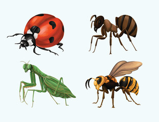 Realistic Hand Drawn Insect Collection