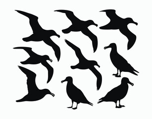 Fototapeta premium Albatross Flying Silhouette Set Vector Template