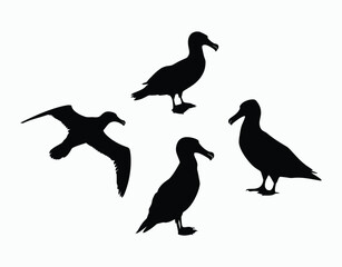 Obraz premium Versatile Albatross Silhouette Vector Template