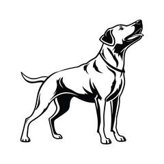 I created a dog silhouette vector with white background