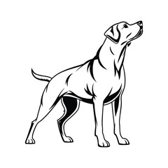  I created a dog silhouette vector with white background