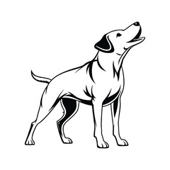 Fototapeta premium I created a dog silhouette vector with white background