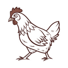 I created a Chicken vector with white background