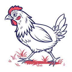 I created a Chicken vector with white background