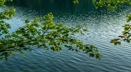 Calm water lake. The tranquil transparent waters of lake in the background. Beautiful nature lake. Landscape Reflection off of a clear lake water surface on a bright sunny day.