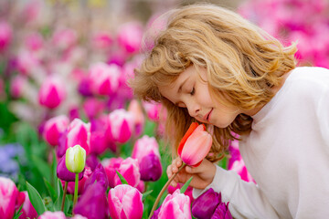 Fototapeta premium Tender Spring. Child play outdoors in a beautiful spring garden. Kid face in tulip flowers. Adorable little kid in blooming tulips garden on beautiful spring day. Happy child during spring blossom.