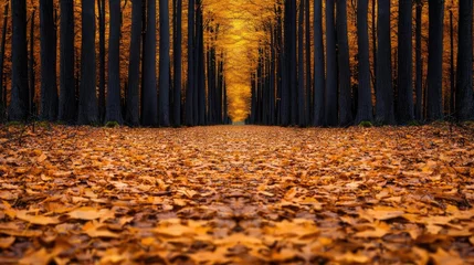 Fototapete Rund Macro flowers landscapes concept. Serene autumn forest path covered with vibrant orange leaves and tall trees. © PBMasterDesign