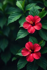 Dark leafy greens foliage with vibrant hibiscus flowers, exotic leaves, , dark colors
