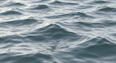 Naklejka premium Abstract Ocean Water Texture Calm Grey Waves Sea Surface Background
