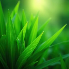 Obraz premium Lush emerald blades swaying gently in the breeze , vibrant, outdoors, lush