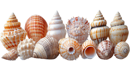 You've reached our limit of messages per hour Please try again later