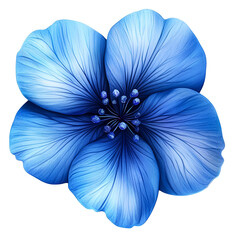 Blue flower isolated on a transparent background