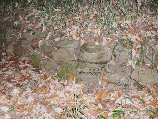 日本：花園城跡（鉢形城の支城）／遺構の石垣／埼玉県寄居町