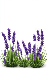 Obraz premium Vibrant lavender flowers blooming gracefully, surrounded by lush green grass, evoking a sense of tranquility and natural beauty.