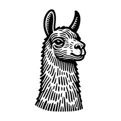 Naklejka premium Llama alpaca engrave logo icon design illustration