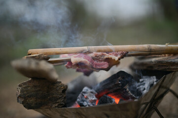 grilled dinner by the fire when camping in the wild