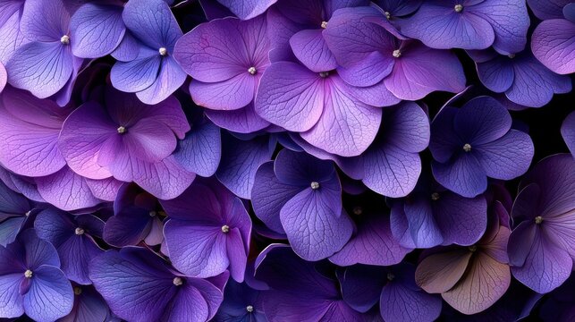 A close up of purple flowers with a purple background