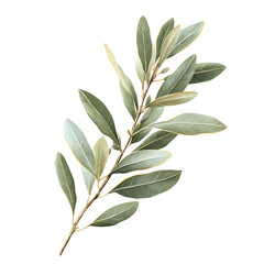 Die cut leaves A close-up of a fresh green olive branch, showcasing its elegantly shaped leaves and natural beauty, perfect for botanical themes.