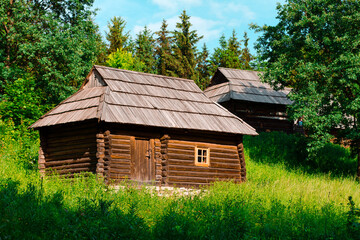 old wooden house in the forest