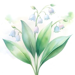 Obraz premium Delicate lilies of the valley bloom, their bell-shaped flowers a fragrant white watercolor artwork illustration 