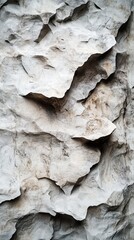 Close-up of textured rocky surface