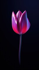 Elegant purple tulip against a dark backdrop.