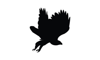 Flying African hawk eagle bird Silhouette Design  And Vector Illustration. 