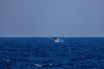 Obraz premium 沖を飛翔する巨大なアホウドリ（アホウドリ科）と漁船。英名学名：Short-tailed albatross, Phoebastria albatrus 東海汽船東京湾〜伊豆諸島八丈島、太平洋航路の橘丸船上にて - 2025 