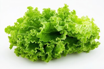 Crisp Freshness: A Close-Up Celebration of a Vibrant Green Lettuce Leaf &ndash; Highlighting Intricate Veins and Organic Beauty in Sharp, High-Detail Food Photography