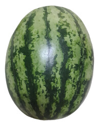 watermelon isolated on white background, oval shape whole watermelon