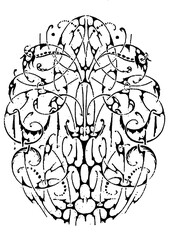 Authentic hand drawn illustration of an intricate sigil featuring occult symbolism, mystical glyphs, sacred geometry, ritualistic markings, and esoteric energy patterns as a vector PNG image