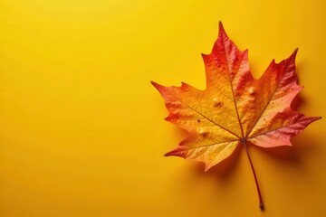 Vibrant Autumn Leaf on a Sunny Yellow Background, Perfect for Seasonal Designs and Fall-Themed Projects