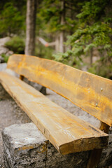 Rustic wooden bench along a hiking trail in Canmore, Alberta