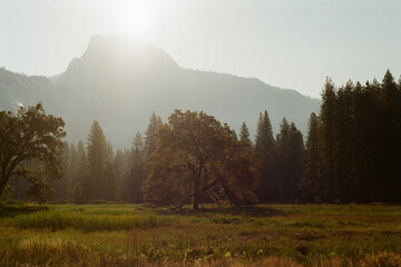 Sunlit Meadow With Half Dome Silhouette in Yosemite National Park