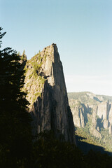 Nature&rsquo;s Contrast &ndash; Sunlight and Shadows in the Wilderness