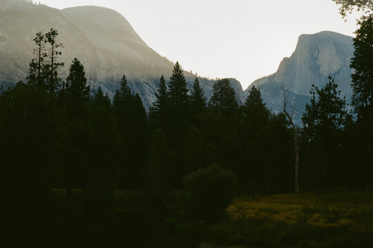 A Dark Forest and Half Dome at Dawn