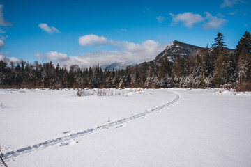Ski trail through fresh snow near Bigelow Mountain, Maine © Cavan