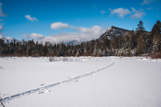Ski trail through fresh snow near Bigelow Mountain, Maine