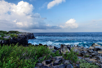 Galapagos Islands Landscape, Adventure destination