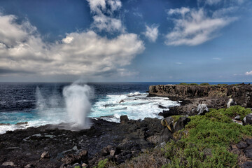 Galapagos Islands Landscape, Adventure destination
