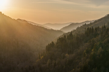 Golden Sunrise Over Rolling Forested Hills and Foggy Valleys in