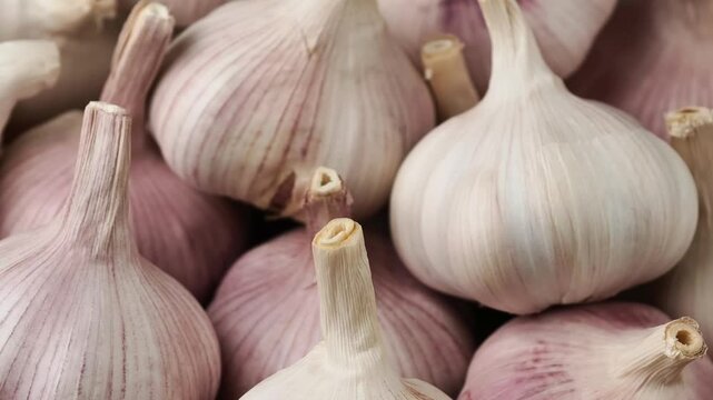 Close-up of fresh garlic