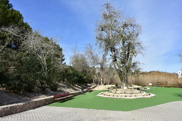 Fototapeta premium cycle route Transmurciana 22 in Spain near village Archena