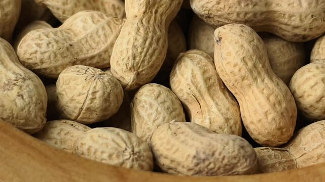 Close-up of dried peanuts